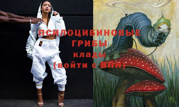 амф Алексеевка