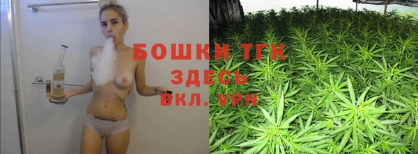 дмт Алзамай