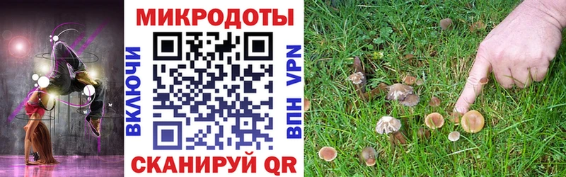 Псилоцибиновые грибы мицелий  ссылка на мегу ССЫЛКА  Анжеро-Судженск 